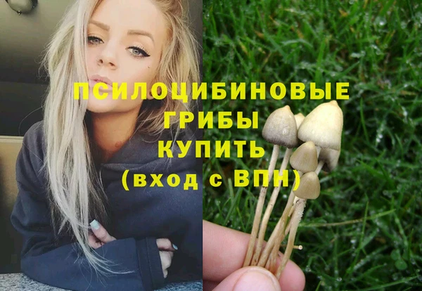 тгк Верея