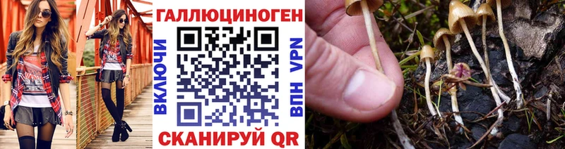 blacksprut ссылки  Партизанск  Псилоцибиновые грибы прущие грибы  даркнет сайт 
